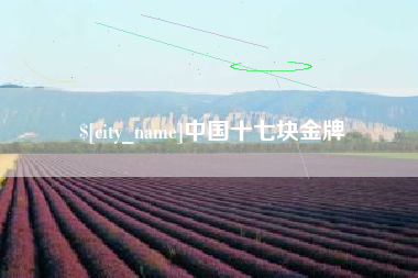 海西中国十七块金牌