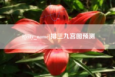 海西排三九宫图预测
