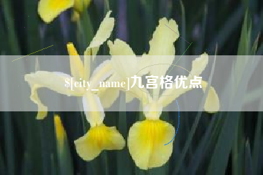 海西九宫格优点