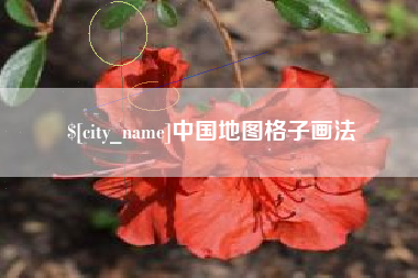 海西中国地图格子画法