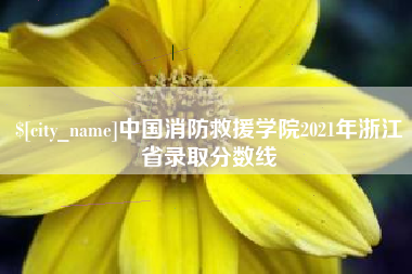 海西中国消防救援学院2021年浙江省录取分数线