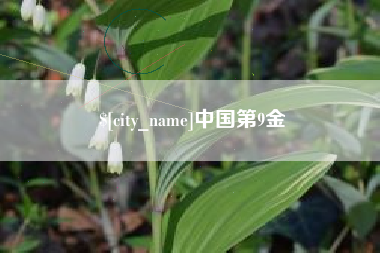 海西中国第9金