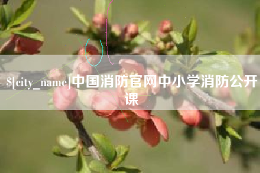 海西中国消防官网中小学消防公开课