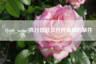 海西执行信息公开网查到的案件