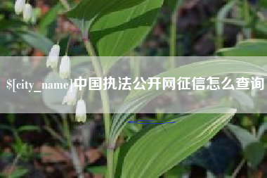 海西中国执法公开网征信怎么查询
