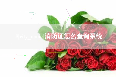 海西消防证怎么查询系统