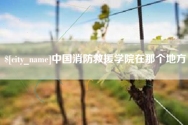 海西中国消防救援学院在那个地方
