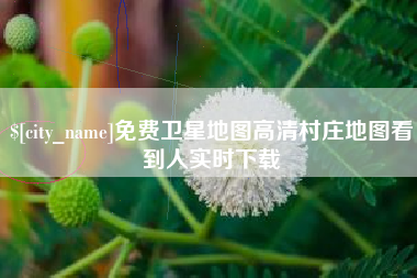 海西免费卫星地图高清村庄地图看到人实时下载