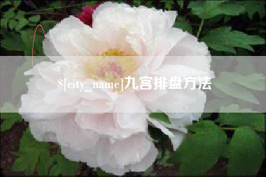 海西九宫排盘方法
