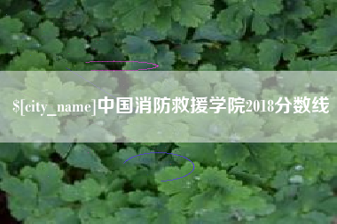 海西中国消防救援学院2018分数线