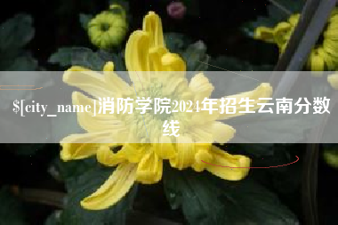 海西消防学院2024年招生云南分数线