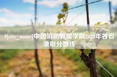 海西中国消防救援学院2020年各省录取分数线