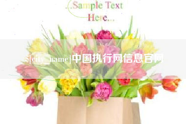 海西中国执行网信息官网