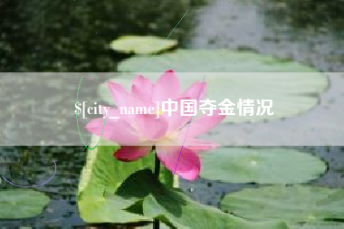 海西中国夺金情况