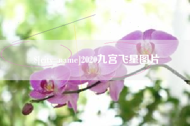 海西2020九宫飞星图片
