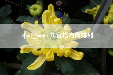 海西九宫格方向排列