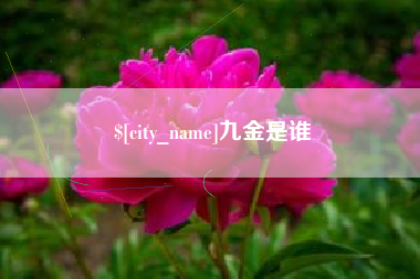 海西九金是谁