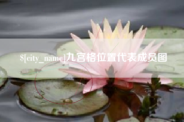 海西九宫格位置代表成员图