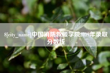 海西中国消防救援学院2019年录取分数线