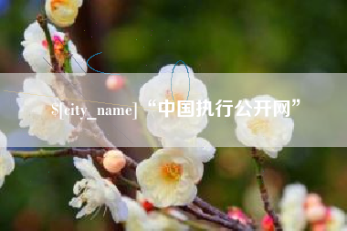 海西“中国执行公开网”