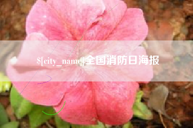 海西全国消防日海报