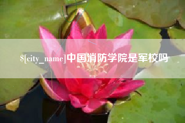 海西中国消防学院是军校吗