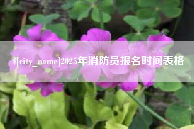 海西2025年消防员报名时间表格