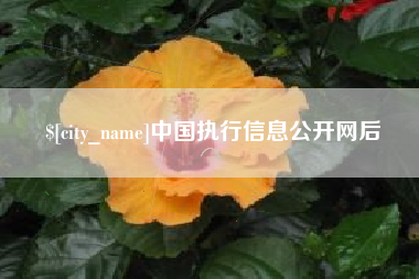 海西中国执行信息公开网后