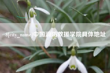 海西中国消防救援学院具体地址