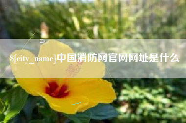 海西中国消防网官网网址是什么