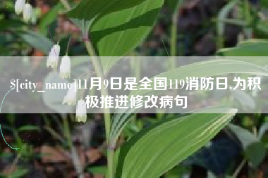 海西11月9日是全国119消防日,为积极推进修改病句
