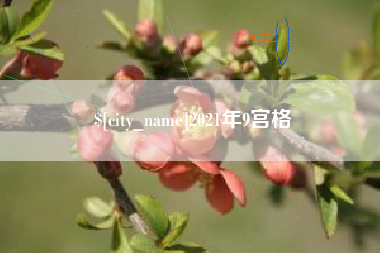 海西2021年9宫格