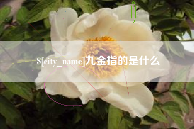 海西九金指的是什么