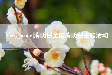 海西消防日全国消防日主题活动