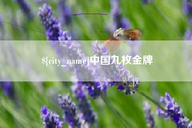 海西中国九枚金牌
