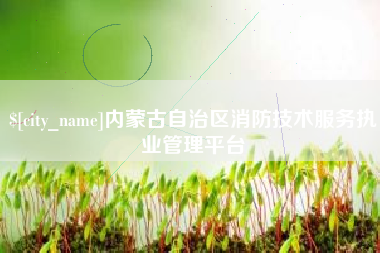 海西内蒙古自治区消防技术服务执业管理平台