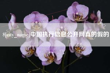 海西中国执行信息公开网真的假的