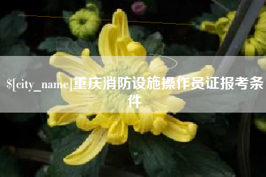 海西重庆消防设施操作员证报考条件
