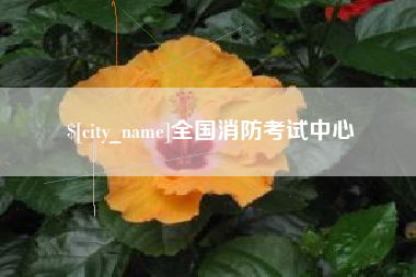海西全国消防考试中心