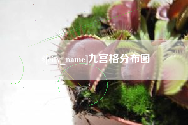 海西九宫格分布图