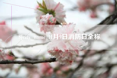海西11月9日消防日全称