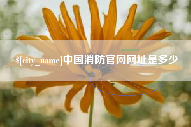 海西中国消防官网网址是多少