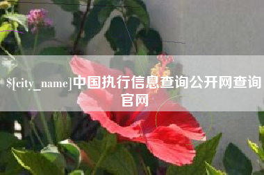 海西中国执行信息查询公开网查询官网