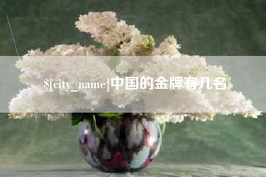 海西中国的金牌有几名