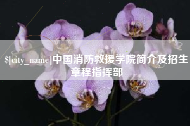 海西中国消防救援学院简介及招生章程指挥部