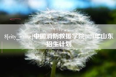 海西中国消防救援学院2021年山东招生计划