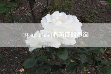 海西消防证的查询