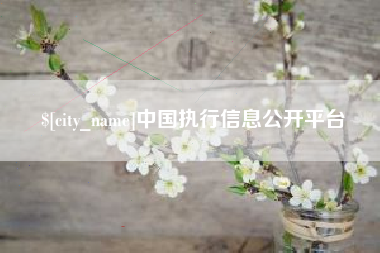 海西中国执行信息公开平台