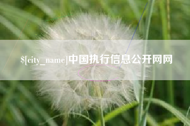 海西中国执行信息公开网网
