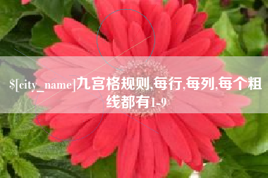 海西九宫格规则,每行,每列,每个粗线都有1-9